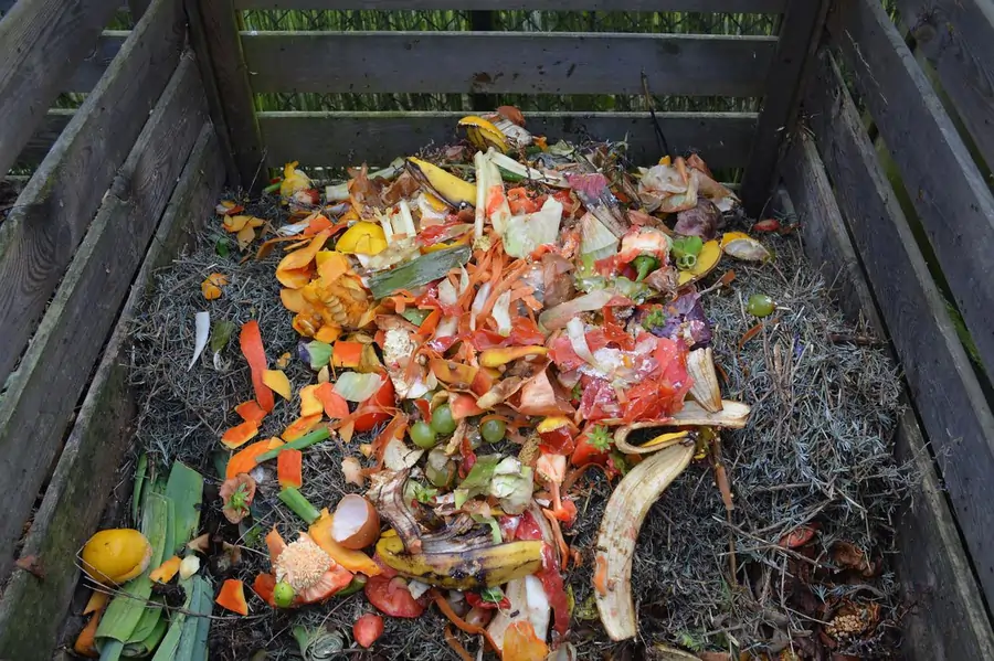 can teabags be composted - compost pile