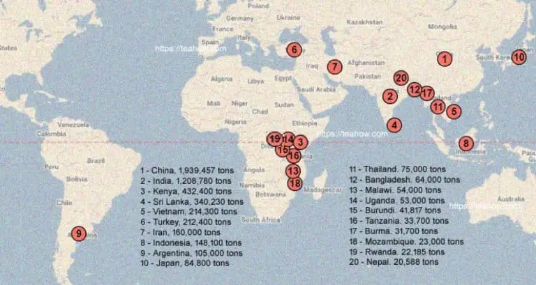 where-is-tea-grown-the-top-62-countries-and-quantities