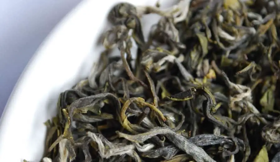 Does Loose Leaf Tea Expire? Why, When, and How to Prevent It