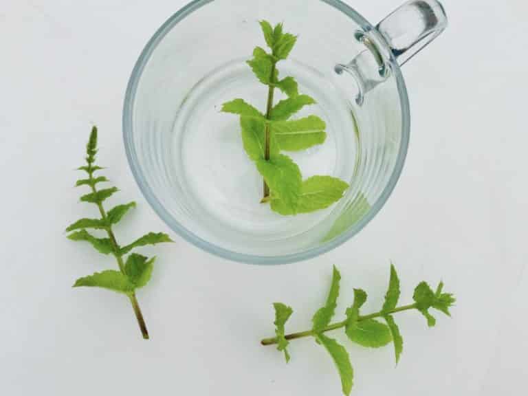 Does Peppermint Tea Break a Fast? When It Does and Doesn’t!