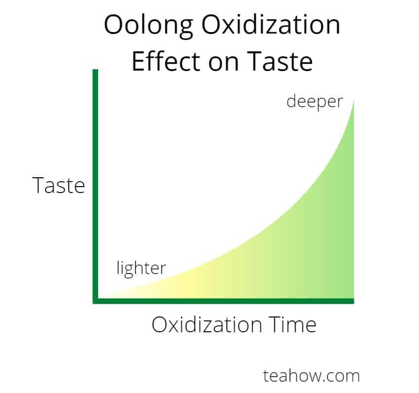 Oolong oxidization time