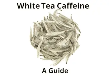 white tea caffeine a guide