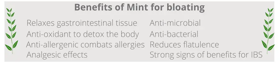 list of benefits of mint for bloating