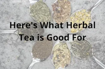 What Is Herbal Tea Good For - Benefits, Types, What They Do