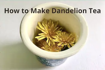 how to make dandelion tea